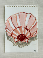 SHELL STUDY I