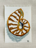 SHELL STUDY II