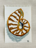 SHELL STUDY II