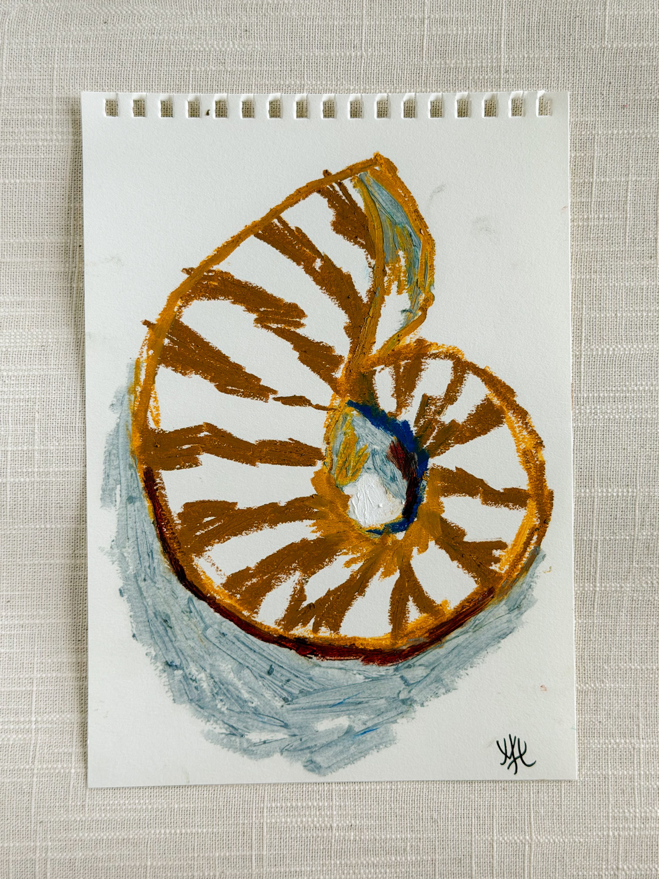 SHELL STUDY II