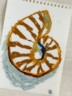 SHELL STUDY II