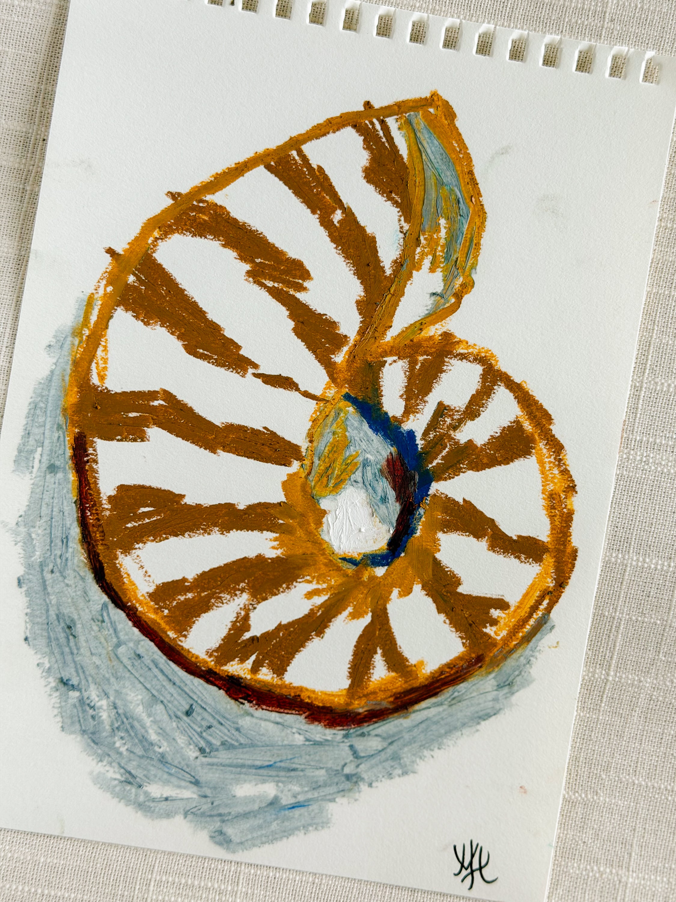 SHELL STUDY II