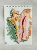 SHELL STUDY III