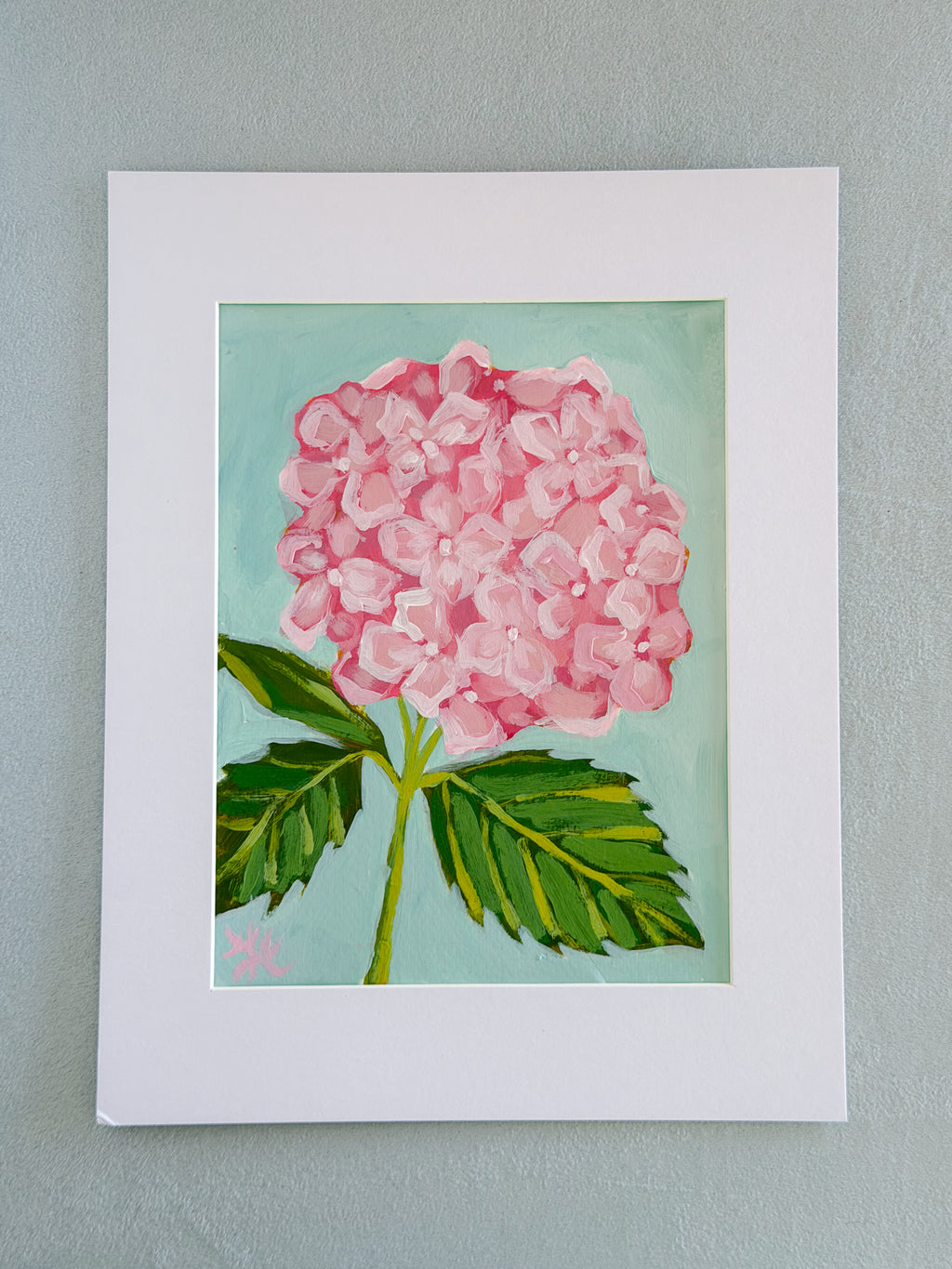 PINK HYDRANGEA