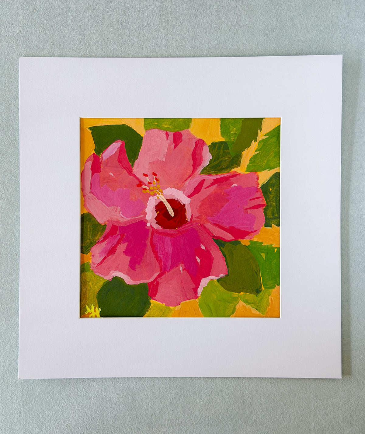 HIBISCUS STUDY